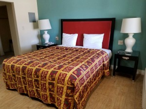 Deluxe King Suite - Non Smoking